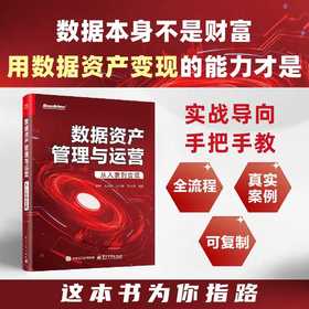 数据资产管理与运营:从入表到变现