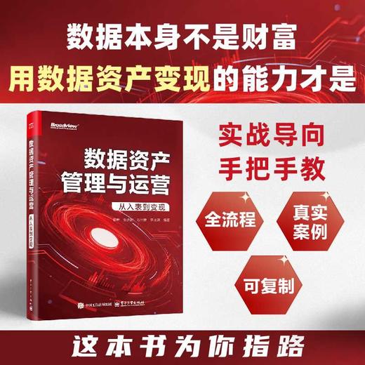 数据资产管理与运营:从入表到变现 商品图0