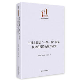 中国在共建一带一路国家投资的风险及应对研究
