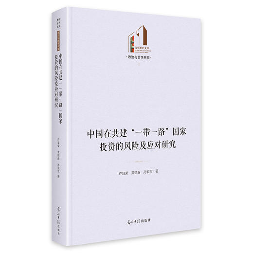 中国在共建一带一路国家投资的风险及应对研究 商品图0
