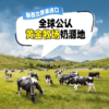 【清凉一夏】新西兰 玛琪摩尔冰淇淋 2L金盒（渴望四合一）+2L金盒（香草）+1L圆盒（奶油曲奇）+挖球勺1 商品缩略图5