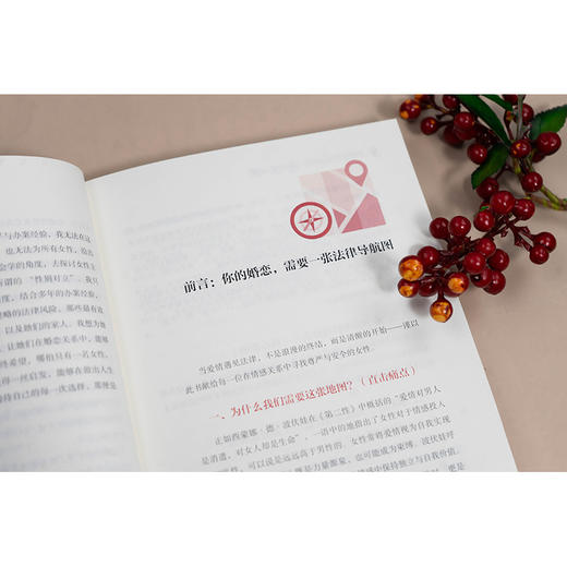 女性婚恋法律地图:20·30·40 商品图3