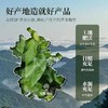 黄山有机霜桑茶  老树手工采摘6道工艺清甘明目 茶汤清澈甘甜清爽入口回甘 桑叶茶 180g*1罐 商品缩略图3