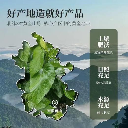 黄山有机霜桑茶  老树手工采摘6道工艺清甘明目 茶汤清澈甘甜清爽入口回甘 桑叶茶 180g*1罐 商品图3