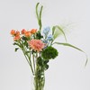 小花束 --颜色随机 商品缩略图1