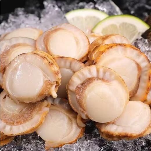 【QT】冷冻海鲜 扇贝肉5斤/袋 商品图1