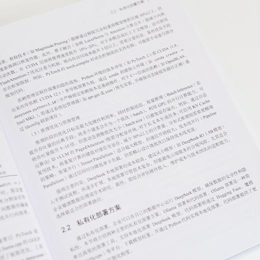 DeepSeek大模型应用开发:从提示工程到智能体实践 商品图4