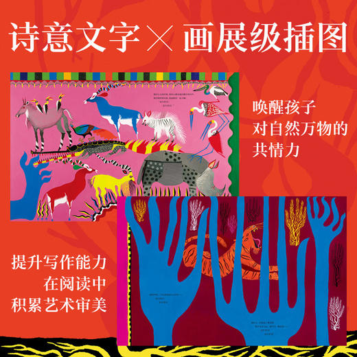 夏尔贾汉 商品图2