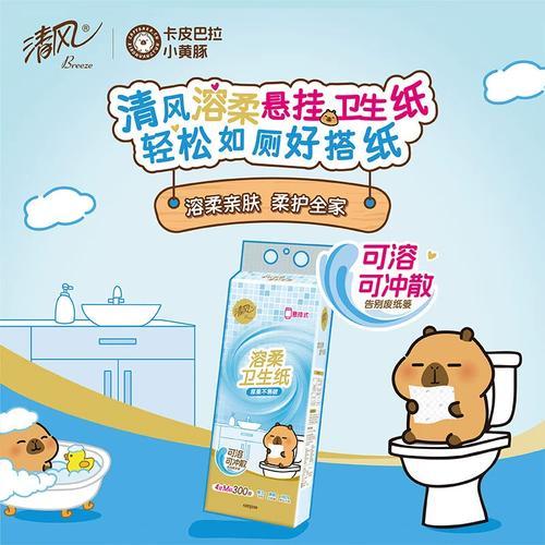 B1F【化洗】清风溶柔系列 悬挂式卫生纸  规格：300抽/提（取货日期：4月22日取货） 商品图0