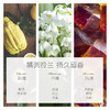 INGRAM'S英格莱恩南非经典大白罐水润保湿乳霜-5.1 商品缩略图3
