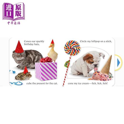 【中商原版】马修范韦特启蒙操作书 看宠物学形状 Matthew Van Fleet Shape Pet 英文原版 纸板书 幼儿早教认知 进口亲子童书 商品图2