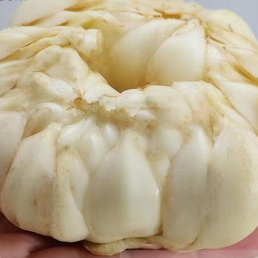 有客瑶来 鲜龙牙百合  100g*3包/5包  高山富硒种植 鲜挖现发 商品图3