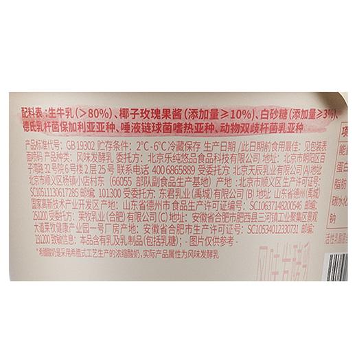 乐纯90g椰子玫瑰味希腊酸奶 商品图2