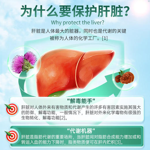 Vinsic肝能量片 商品图3