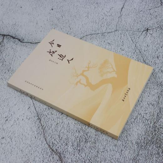 今日戍边人 商品图1