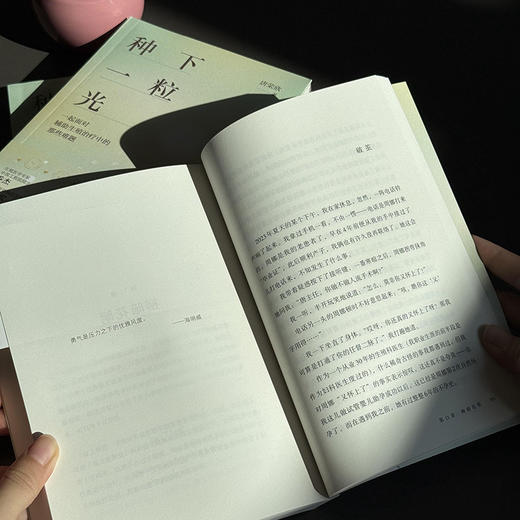 种下一粒光 商品图2