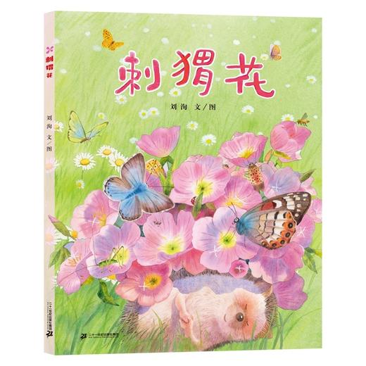 刺猬花 商品图0