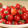釜山88小番茄【顺丰/京东快递】 商品缩略图8