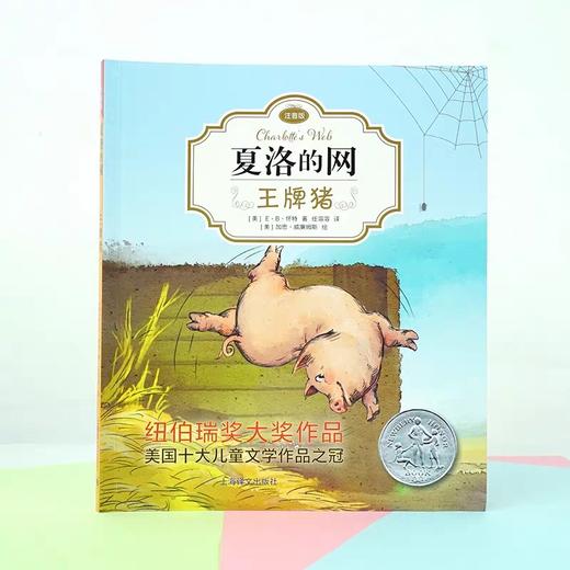 王牌猪(注音版) 商品图1