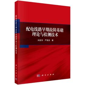 配电线路早期故障基础理论与检测技术