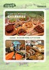氧气旅行团-新疆草原双境 商品缩略图1
