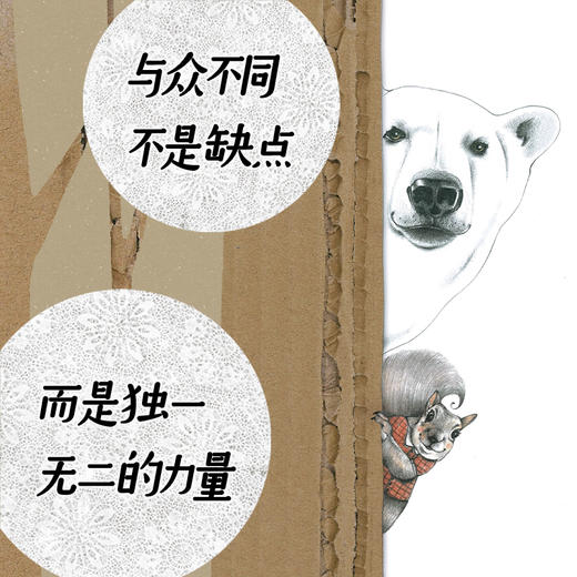 与众不同的卡卡鲁 商品图4