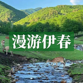 漫游伊春 | 浪漫林都，天然氧吧，潜入凉爽的绿色迷宫！
