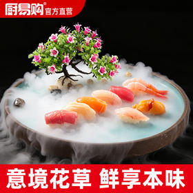 造景大师系列—唯美【迎春花】 随手一放即可绽放唯美！