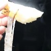 河南焦作温县鲜怀山药 原产地合作直发5斤 商品缩略图7