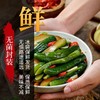 B1F 【冷藏】李窖主酸甜小黄瓜  规格：300g（取货时间：即买即取 ） 商品缩略图1