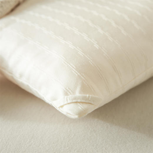 开诚  无染提花大豆被 商品图3