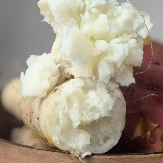 河南焦作温县鲜怀山药 原产地合作直发5斤 商品图1