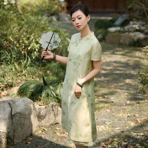 西子/玉竹美人新中式通勤气质立领浅绿竹纹改良旗袍裙/QPZH0115 商品图1