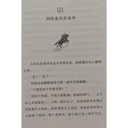 向太阳 商品图2