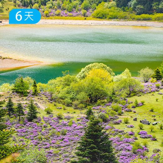 第二届 尼汝花季徒步节｜六月限定 徒步穿越中国最原始的杜鹃花海 邂逅彩虹环绕的七彩瀑布 6日 商品图6