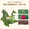 三七玫瑰精萃液 商品缩略图2
