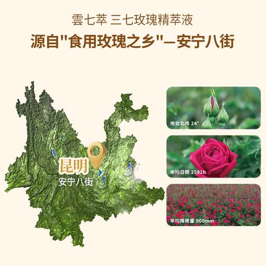 三七玫瑰精萃液 商品图2