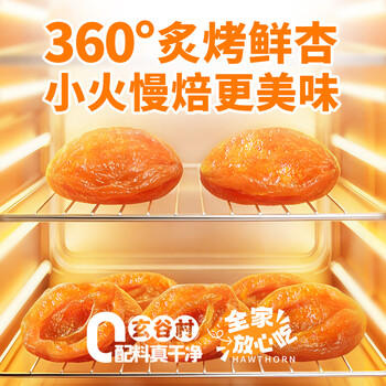 玄谷村杏干80g 0添加剂0脂肪杏肉干无熏硫蜜饯果干果脯孕妇解馋休闲零食 /休闲食品 /蜜饯果干 /杏干 商品图1