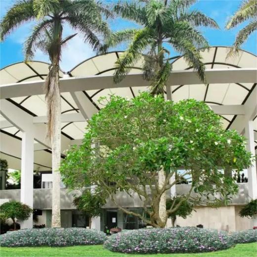 圣尼峰高尔夫俱乐部 Senibong Golf Club I  新山高尔夫球场  I 马来西亚高尔夫俱乐部  I  东南亚 商品图3
