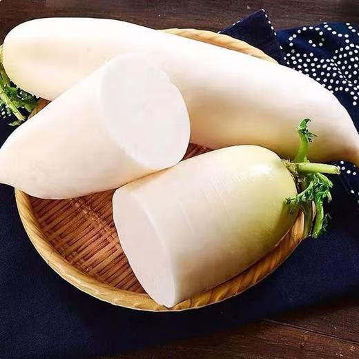 【QT】新鲜白萝卜 商品图1
