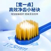 兴龙广缘6支宽薄牙刷 商品缩略图2