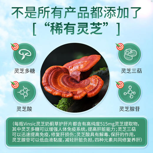 Vinsic肝能量片 商品图6