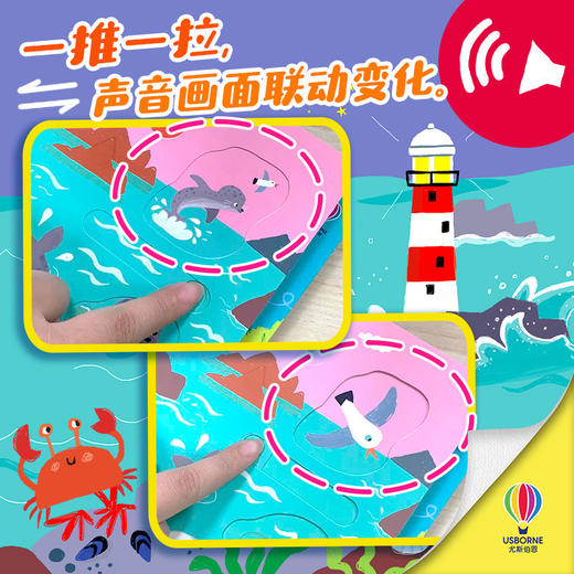 海洋声音真奇妙 商品图2