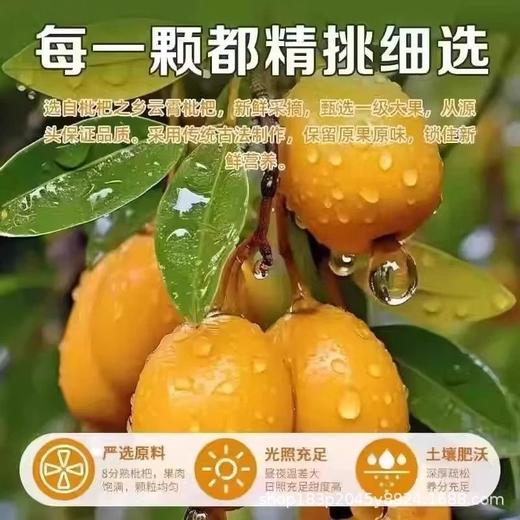 【清甜舒口 肉厚柔韧】谯山谷竹盐枇杷干100g*3袋 商品图1