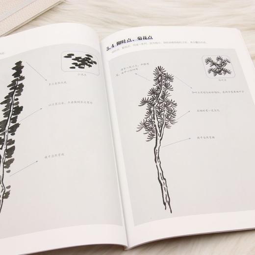 山水画入门教程:树篇 商品图4