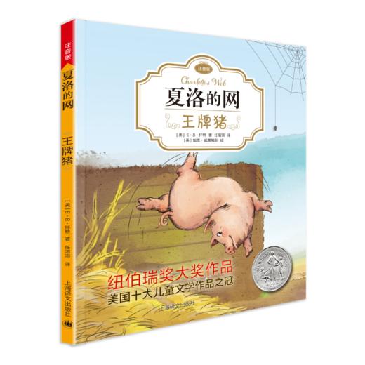 王牌猪(注音版) 商品图0