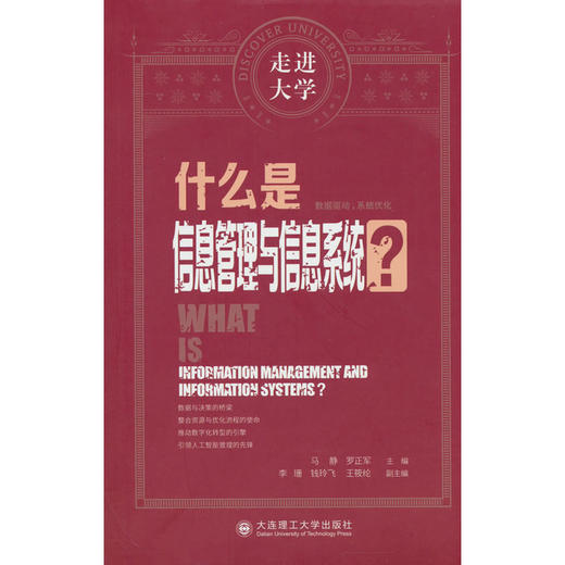 什么是信息管理与信息系统? 商品图0
