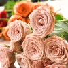 玫瑰花     8-10支，颜色随机 商品缩略图2