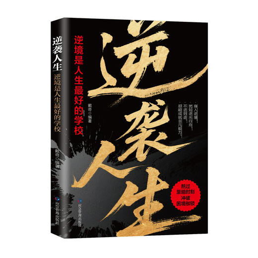 逆袭人生:逆境是人生最好的学校 商品图0