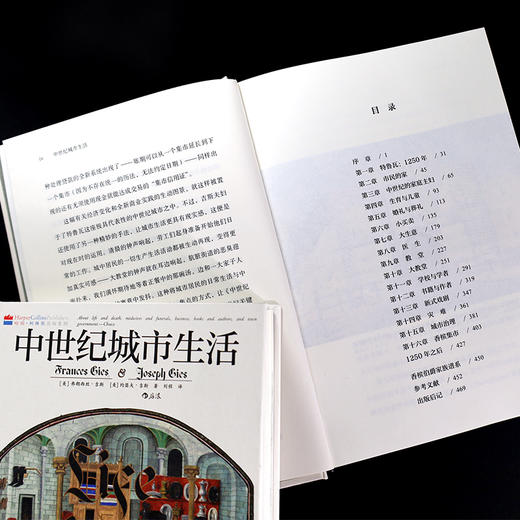 中世纪城市生活 商品图3